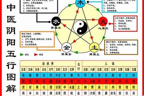 1984是什么鼠|1984年属鼠五行属什么，84年属鼠人一生运势